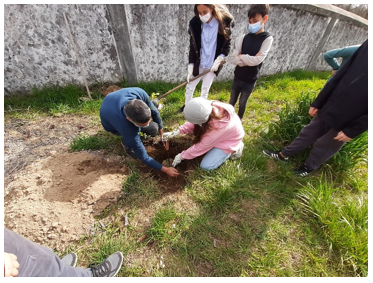 Dia Mundial da Árvore