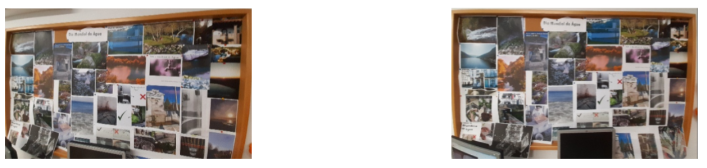 Dia Mundial da Água