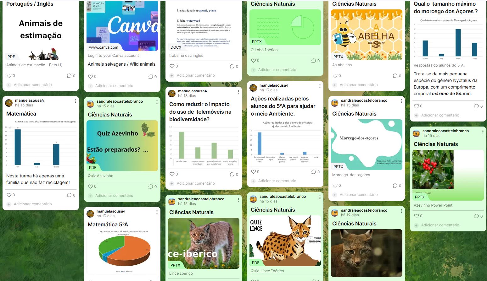 Conservação da Biodiversidade - Projeto DAC 5ºA