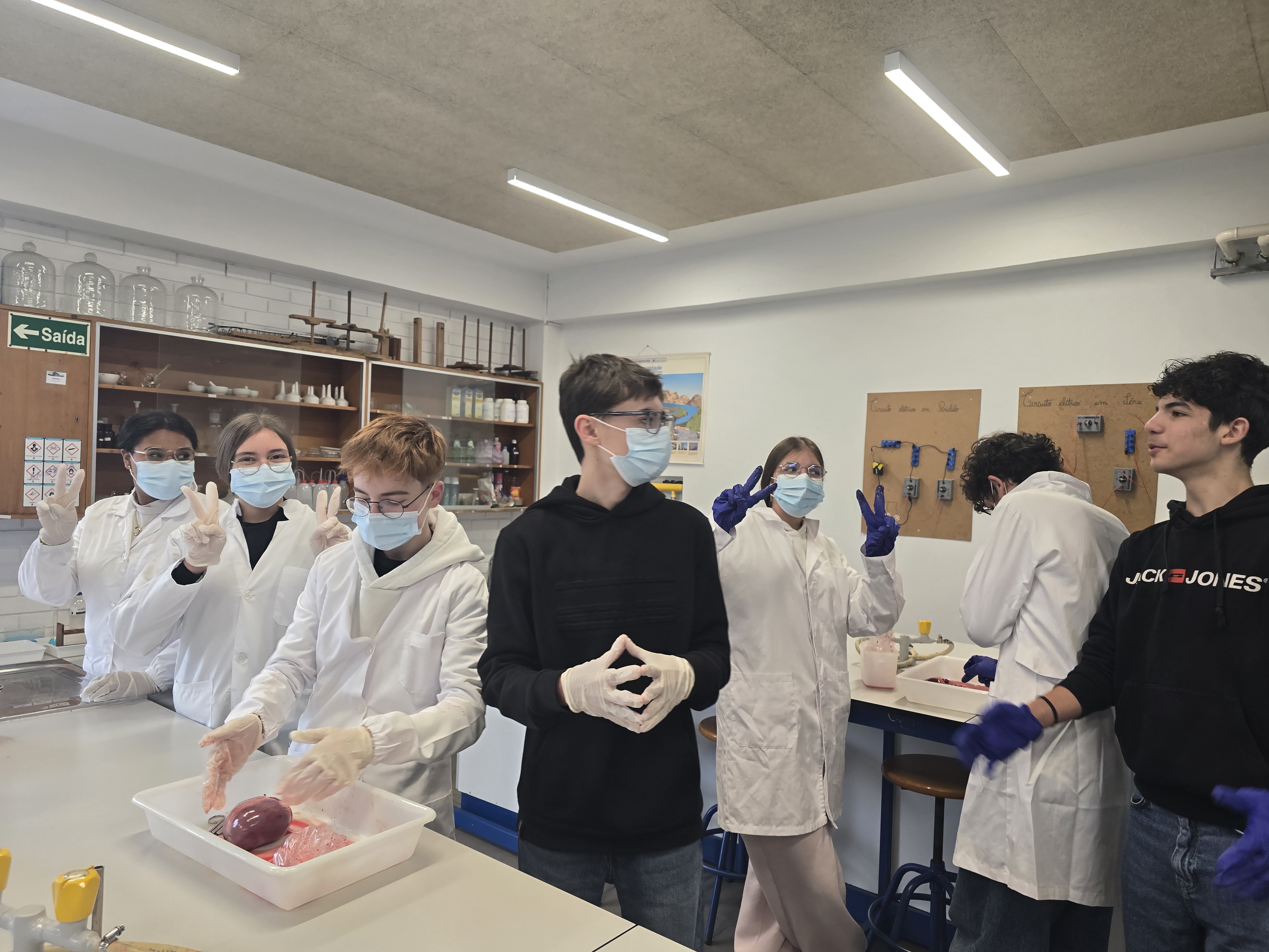 Dissecação do coração de porco