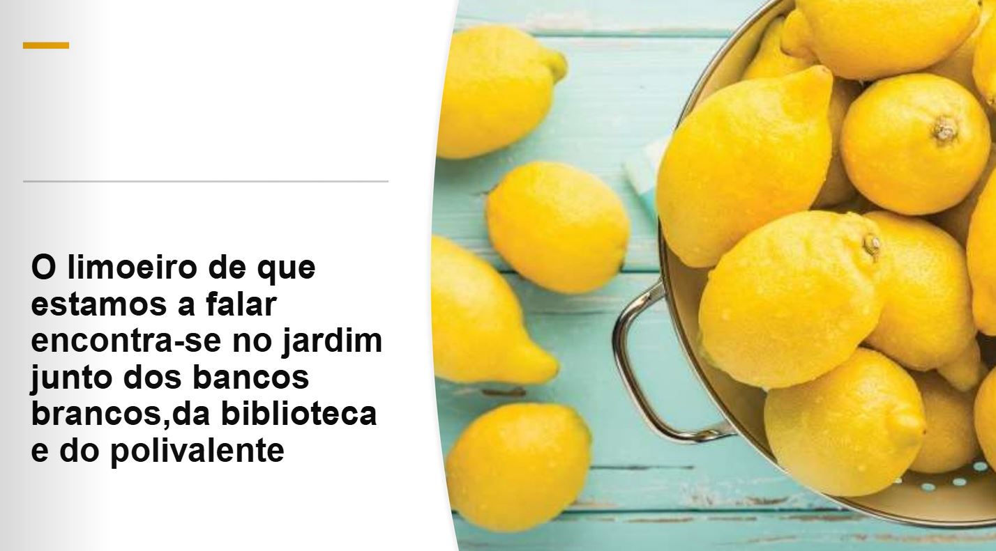Imagem com link